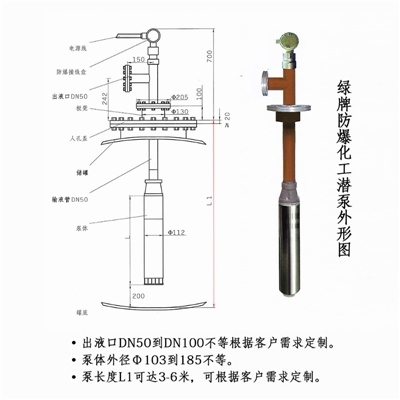 大流量化工潜泵 高扬程防爆液下泵YQYB